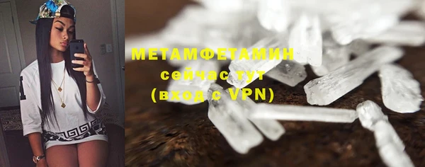 мет Алексин