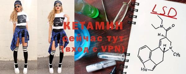 мет Алексин