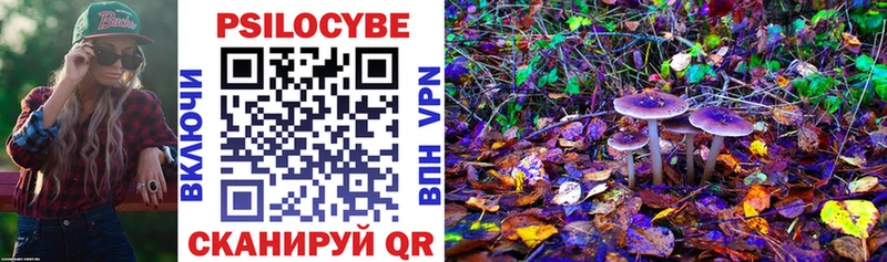Псилоцибиновые грибы мицелий Сатка